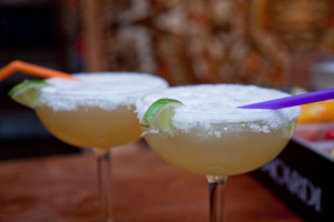 lapaloma-5523